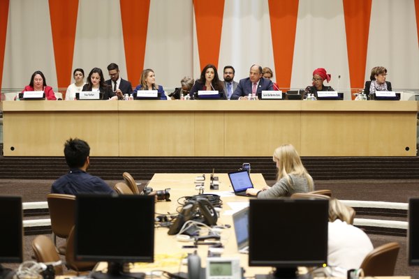 Consejo Económico y Social (ECOSOC)
