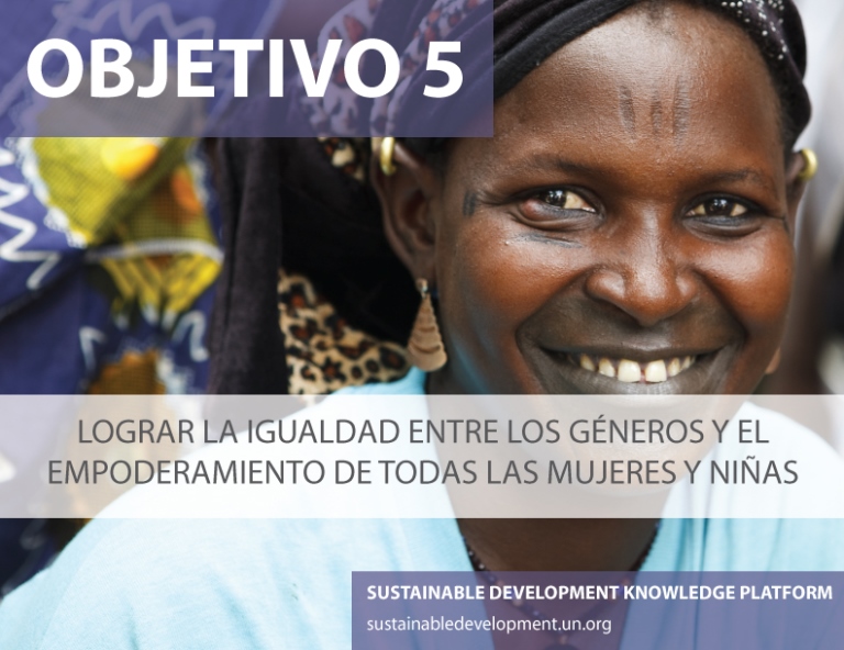 Detalle del objetivo 5 de desarrollo sostenible