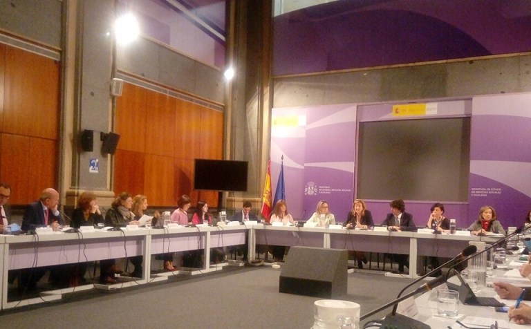 Momento del pleno del Observatorio de Violencia