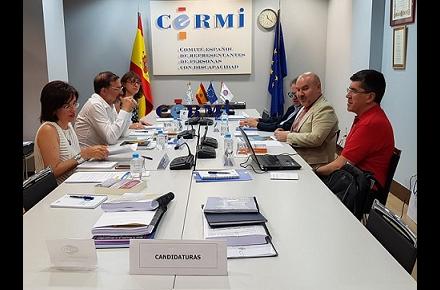 Jurado de los premios CERMI