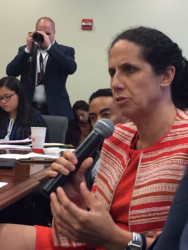 Ana Peláez,vicepresidenta del Foro Europeo de la Discapacidad (EDF)