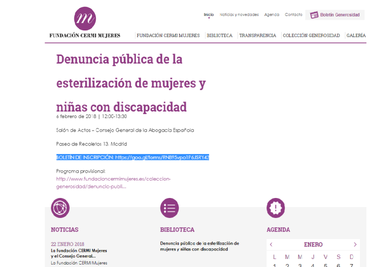 Detalle de la página web de Fundación CERMI Mujeres