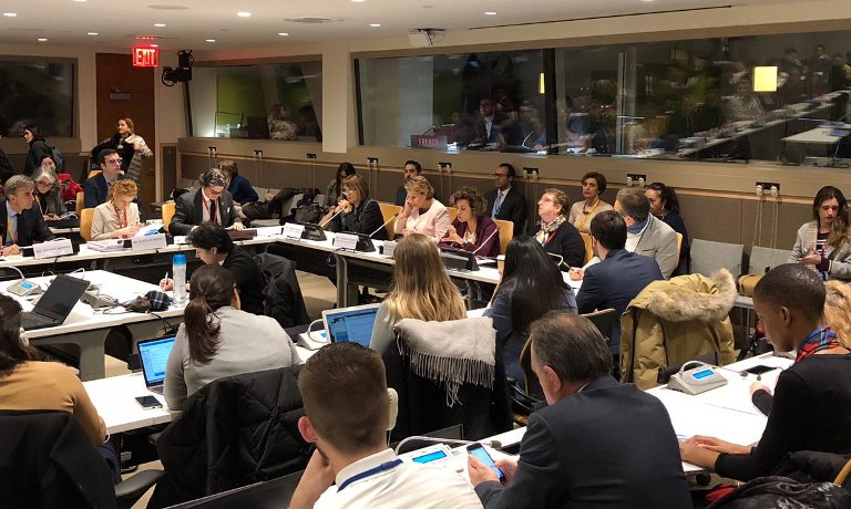 La Fundación CERMI Mujeres aborda en la sede de la ONU en Nueva York las principales reivindicaciones de las mujeres con discapacidad en el mundo rural