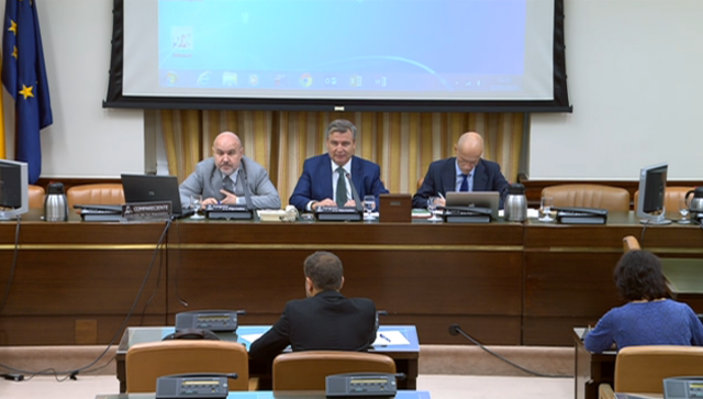 El CERMI exige ante el Congreso la reforma de la Constitución