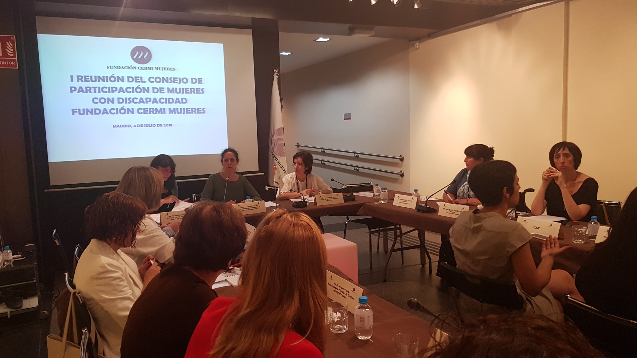 Consejo de Participación de Mujeres de la Fundación CERMI Mujeres