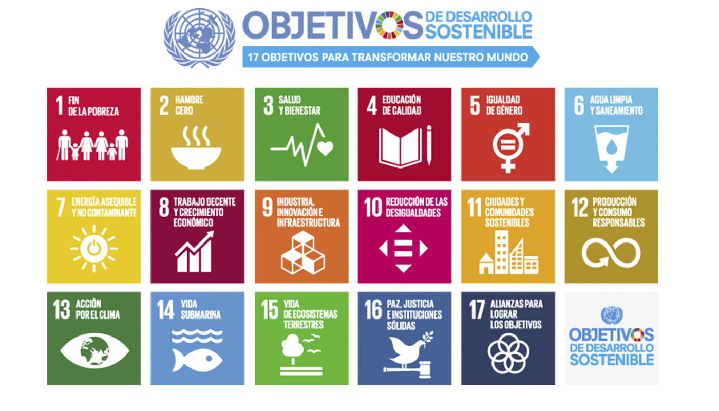 CERMI Mujeres afirma que “la Agenda 2030 se ha olvidado de las mujeres y niñas con discapacidad”