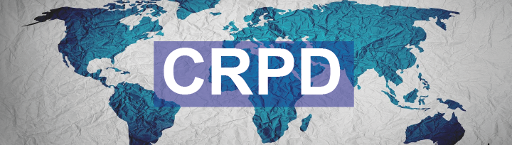 CERMI Mujeres plantea a la ONU que acoja el enfoque interseccional en su próxima Observación sobre el empleo de personas con discapacidad