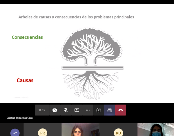 CERMI Andalucía analiza las maternidades de mujeres con discapacidad durante la pandemia y participa en el Plan de Acción de Mujeres con Discapacidad