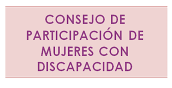 El Consejo de Participación de CERMI Mujeres analiza el impacto de sus actividades
