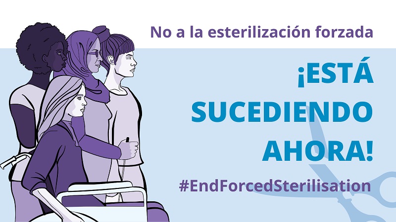 CAMPAÑA DEL FORO EUROPEO DE LA DISCAPACIDAD