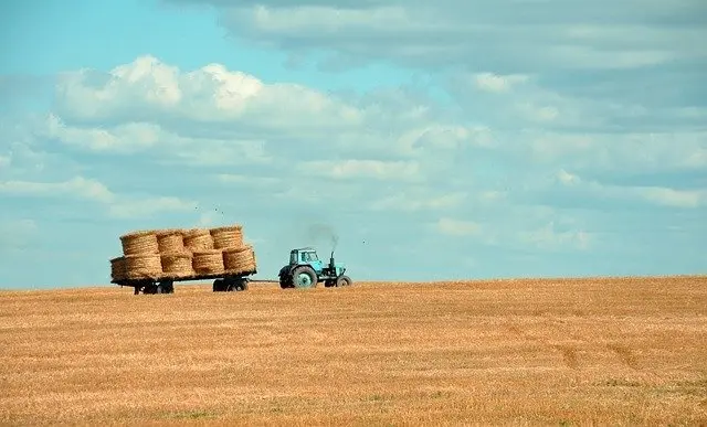 Imagen de la vida en el medio rural