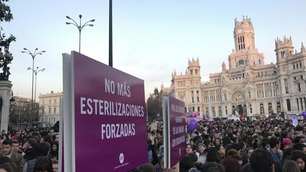 "El fin de las esterilizaciones forzosas en España es un hito para los derechos de las personas con discapacidad"""