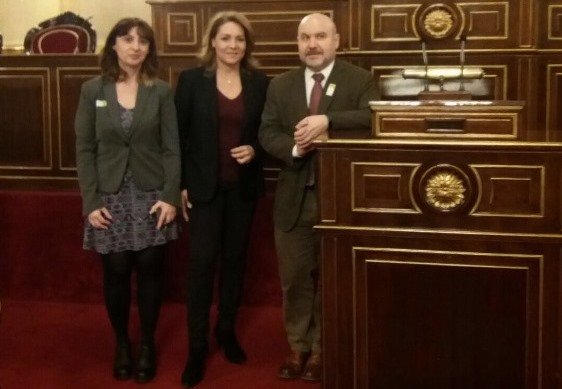 Fundación CERMI Mujeres revisa con Susana Camarero la agenda en materia de género y discapacidad de la legislatura