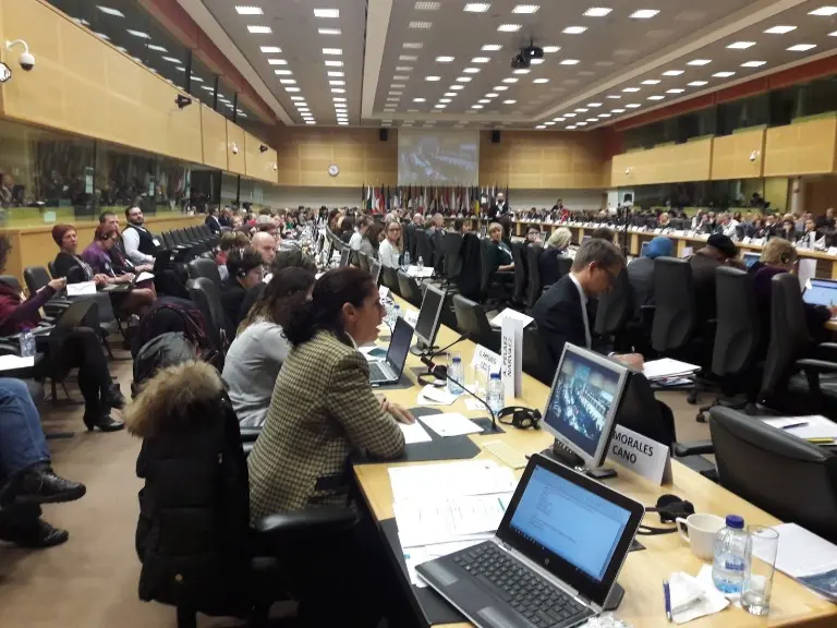 Intervención de Ana Peláez, vicepresidenta ejecutiva de FCM