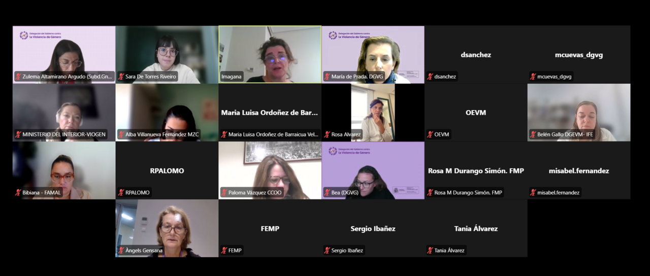 Imagen de la reunión virtual de FCM con el grupo de trabajo por el pacto de Estado