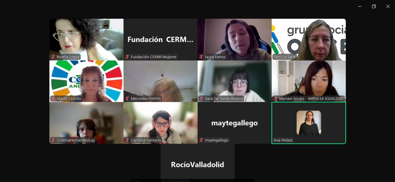 Imagen de la reunión virtual del Consejo de Participación de la Fundación CERMI Mujeres