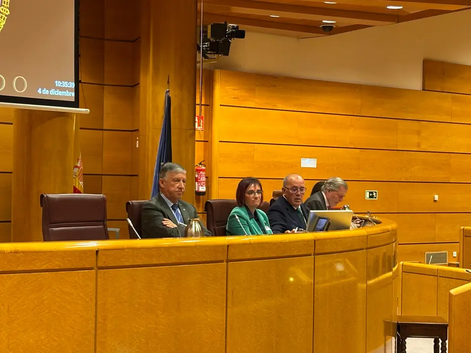 Imagen de Pilar Villarino en la comparecencia del senado el pasado 4 de diciembre de 2025