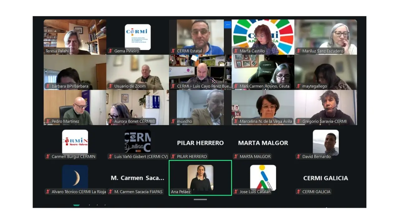 Imagen de la conferencia de los CERMIS Territorios