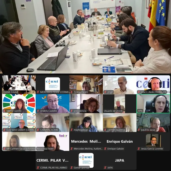 Reuni&oacute;n del Comit&eacute; ejecutivo del CERMI Estatal enero 26