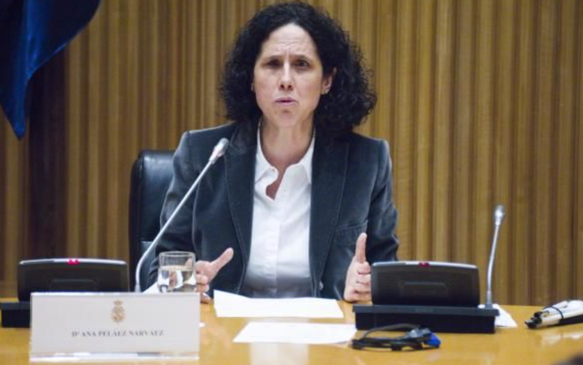 Ana Pel&aacute;ez, durante otra intervenci&oacute;n en el Parlamento, en la Conferencia sectorial de mujeres con discapacidad | Foto de Jorge Villa