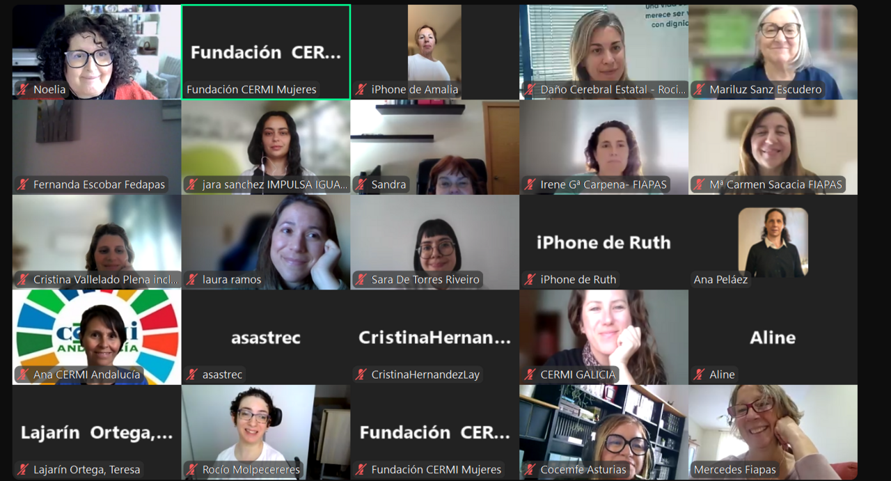 Imagen de la reuni&oacute;n del Consejo de Participaci&oacute;n de Fundaci&oacute;n CERMI Mujeres