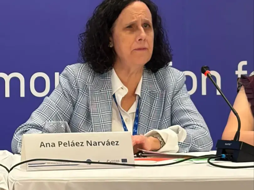 IMAGEN ANA PEL&Aacute;EZ
