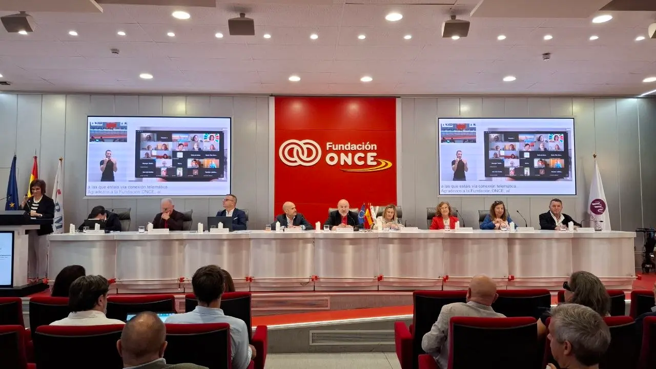 Imagen de la Asamblea Anual CERMI h&iacute;brida
