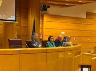 Imagen de Pilar Villarino en la comparecencia del senado el pasado 4 de diciembre de 2025