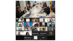 Imagen de la reuni&oacute;n del comit&eacute; Ejecutivo del CERMI Estatal - enero 2026