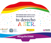 Cartel del I Congreso Estatal de Personas con Discapacidad LGTBI+ del CERMI. Sobre fondo claro aparece una gran franja ondulada con los colores de la bandera arco&iacute;ris en la parte superior y formas curvas en tonos morados y azules en la parte inferior. En el centro se lee el lema: &ldquo;Diversidades sexuales, diversidades humanas, tu derecho a ser&rdquo;, destacando la frase &ldquo;A SER&rdquo; en letras multicolor. &nbsp;&ldquo;#OrgulloCERMI&rdquo;