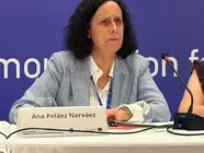 IMAGEN ANA PEL&Aacute;EZ