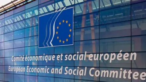 El Comité Económico y Social Euriopeo (CESE) se pronuncia sobre las mujeres con discapacidad