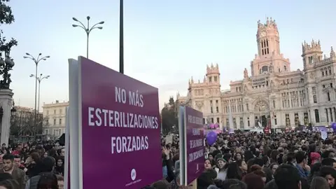 Por el fin de la esterilización forzosa de personas con discapacidad
