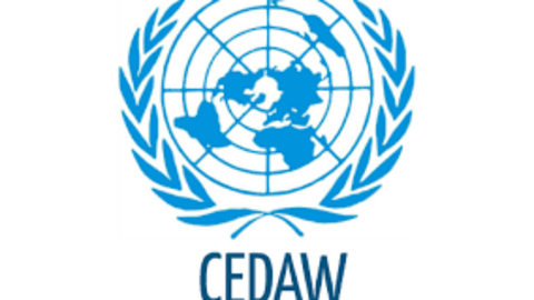 CEDAW 