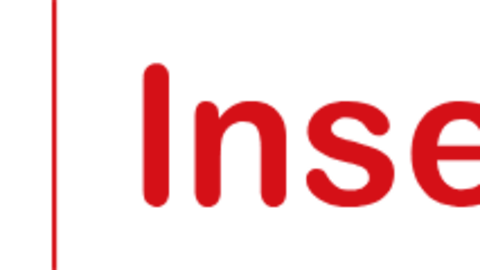 Fundación ONCE - Inserta