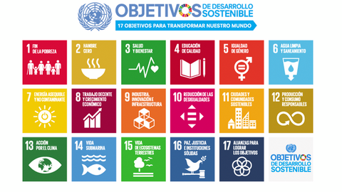 CERMI Mujeres afirma que “la Agenda 2030 se ha olvidado de las mujeres y niñas con discapacidad”