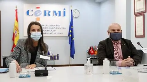 La Reina Letizia y Luis Cayo Pérez Bueno, presidente del CERMI