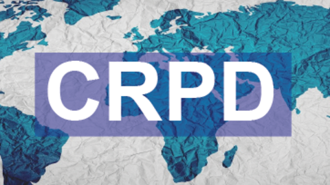 CERMI Mujeres plantea a la ONU que acoja el enfoque interseccional en su próxima Observación sobre el empleo de personas con discapacidad