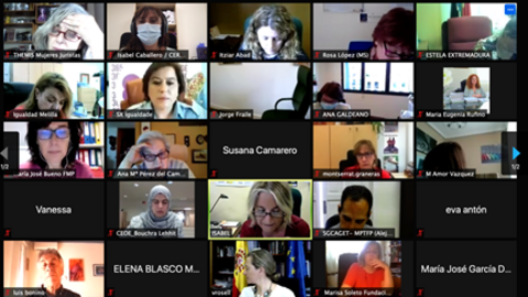 Momento del Pleno del Observatorio Estatal 