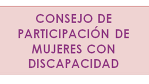 El Consejo de Participación de CERMI Mujeres analiza el impacto de sus actividades