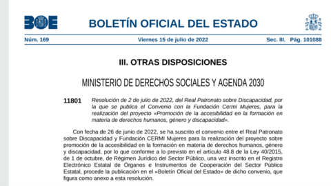 Formación accesible y con enfoque de género: CERMI Mujeres y el Real Patronato sobre Discapacidad colaboran para instruir en derechos humanos de las mujeres con discapacidad