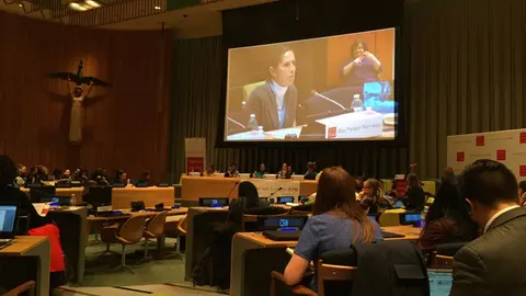 Ana Peláez participando en Naciones Unidas