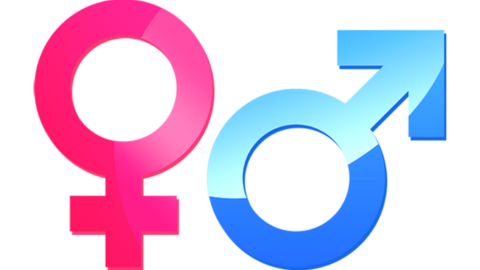 Símbolos del hombre y la mujer