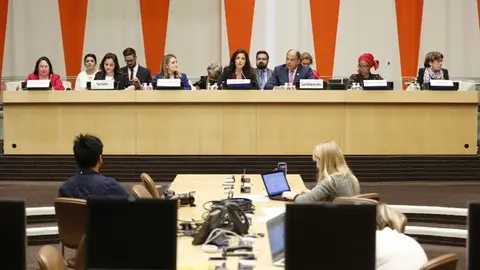 Consejo Económico y Social (ECOSOC)