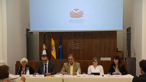Momento de la presentación de la Fundación CERMI Mujeres en Extremadura