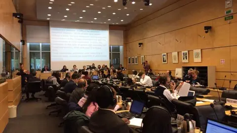 Comité de seguimiento de la Convención sobre los Derechos de las Personas con Discapacidad