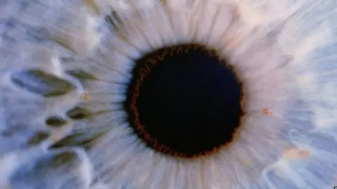 Detalle de la pupila de un ojo