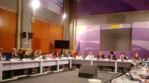 Momento del pleno del Observatorio de Violencia