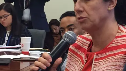 Ana Peláez,vicepresidenta del Foro Europeo de la Discapacidad (EDF)