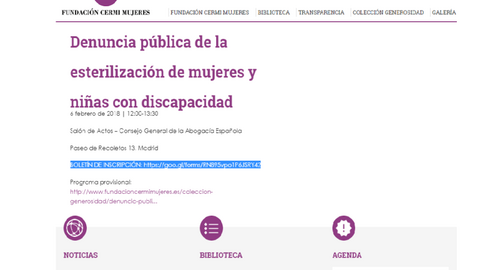 Detalle de la página web de Fundación CERMI Mujeres